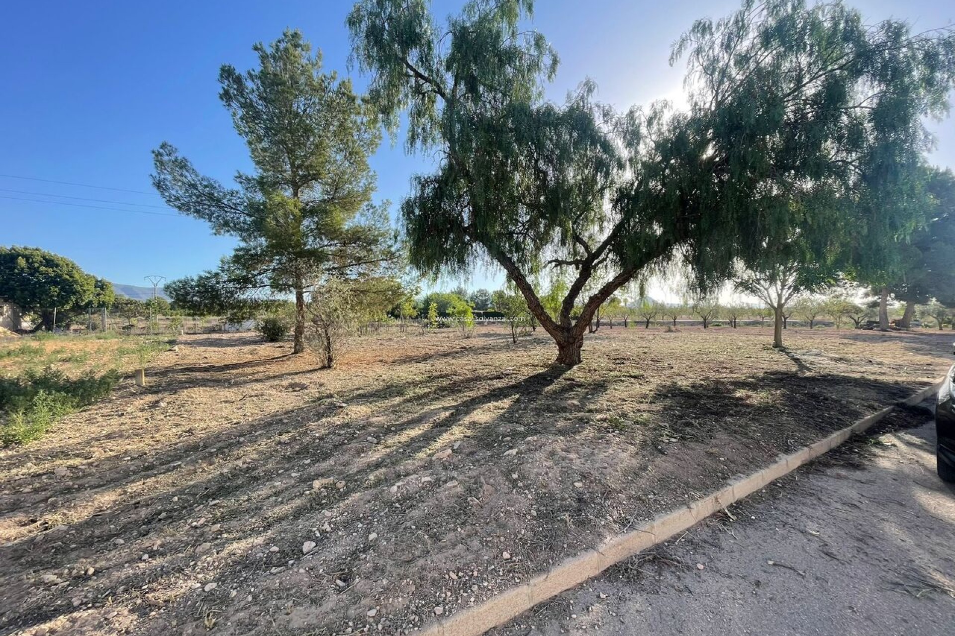 Resale - Land - Pinoso