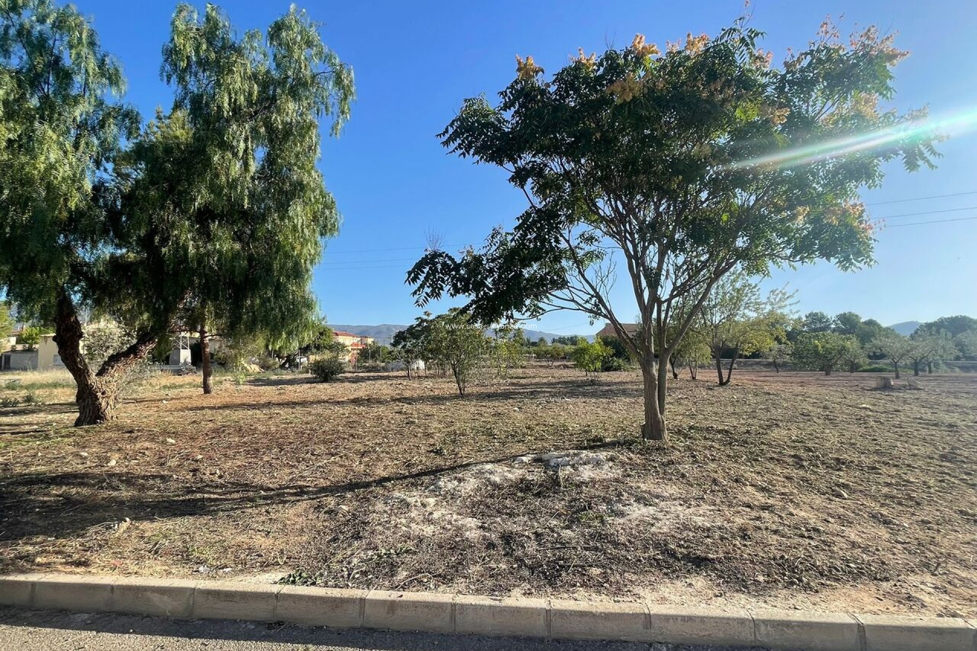 Resale - Land - Pinoso