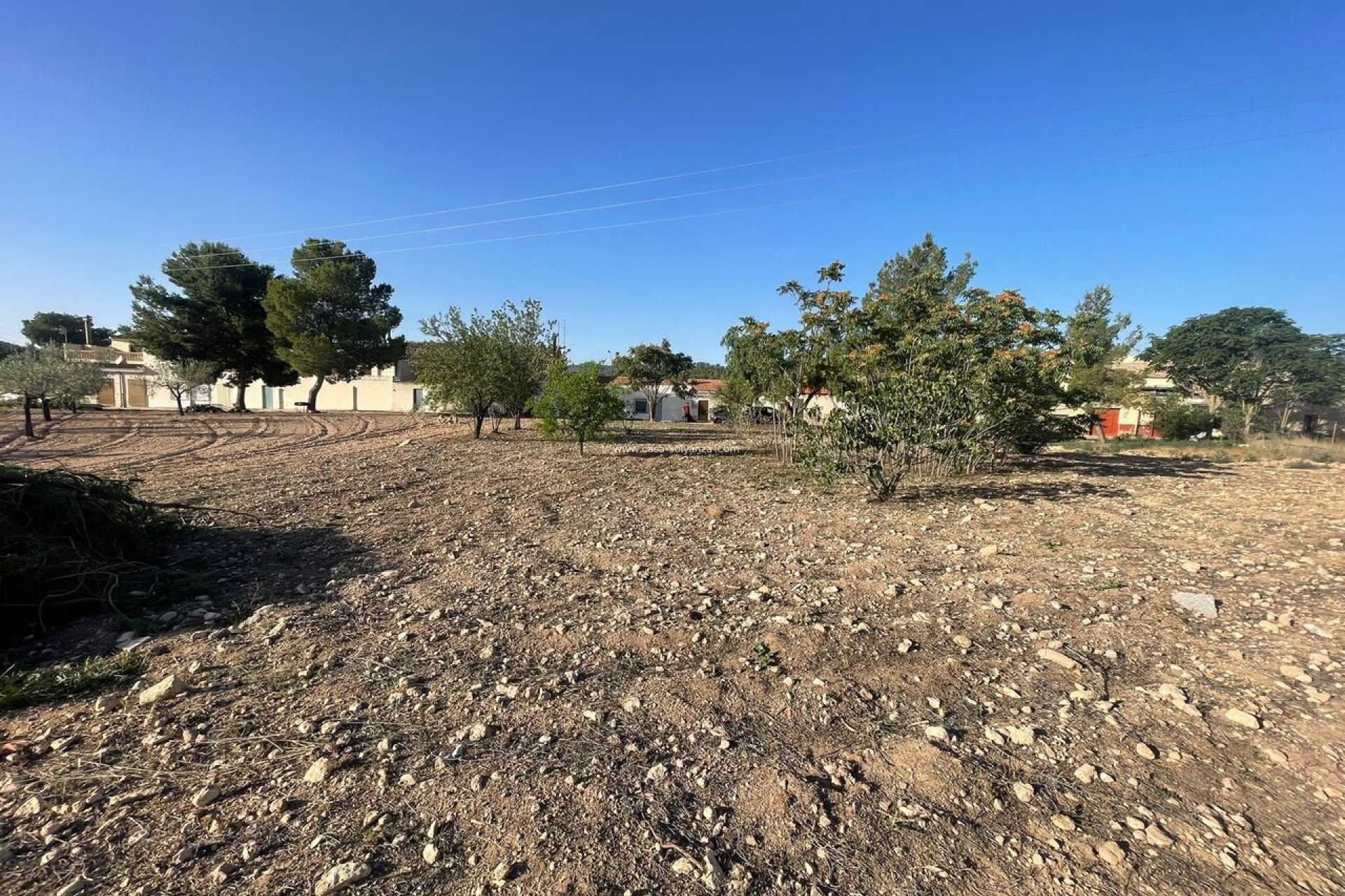 Resale - Land - Pinoso
