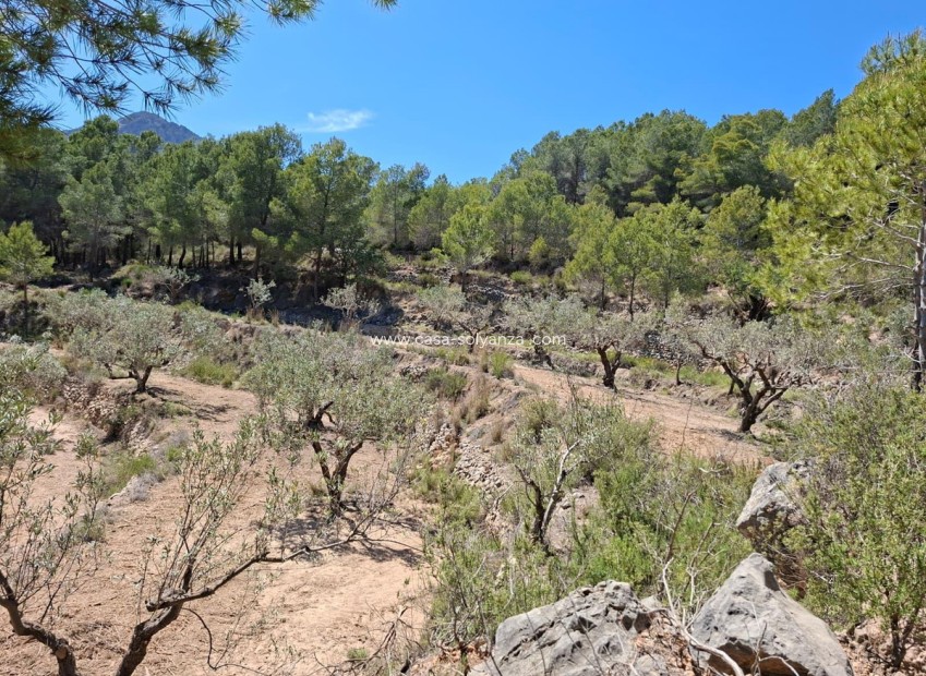 Resale - Land - Polop - Xirles