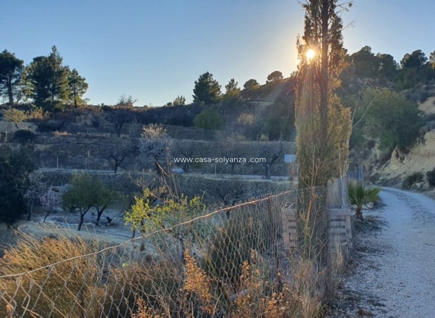 Resale - Land - Relleu - Inland