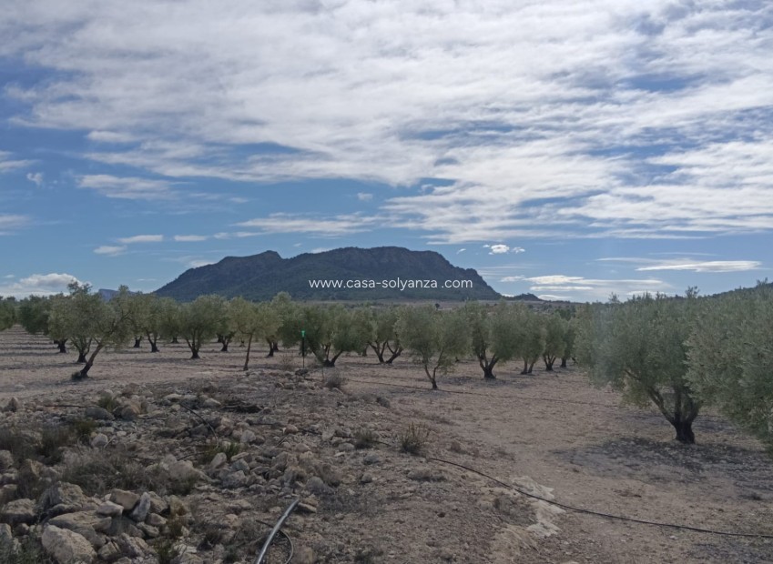 Resale - Land - Salinas - Inland