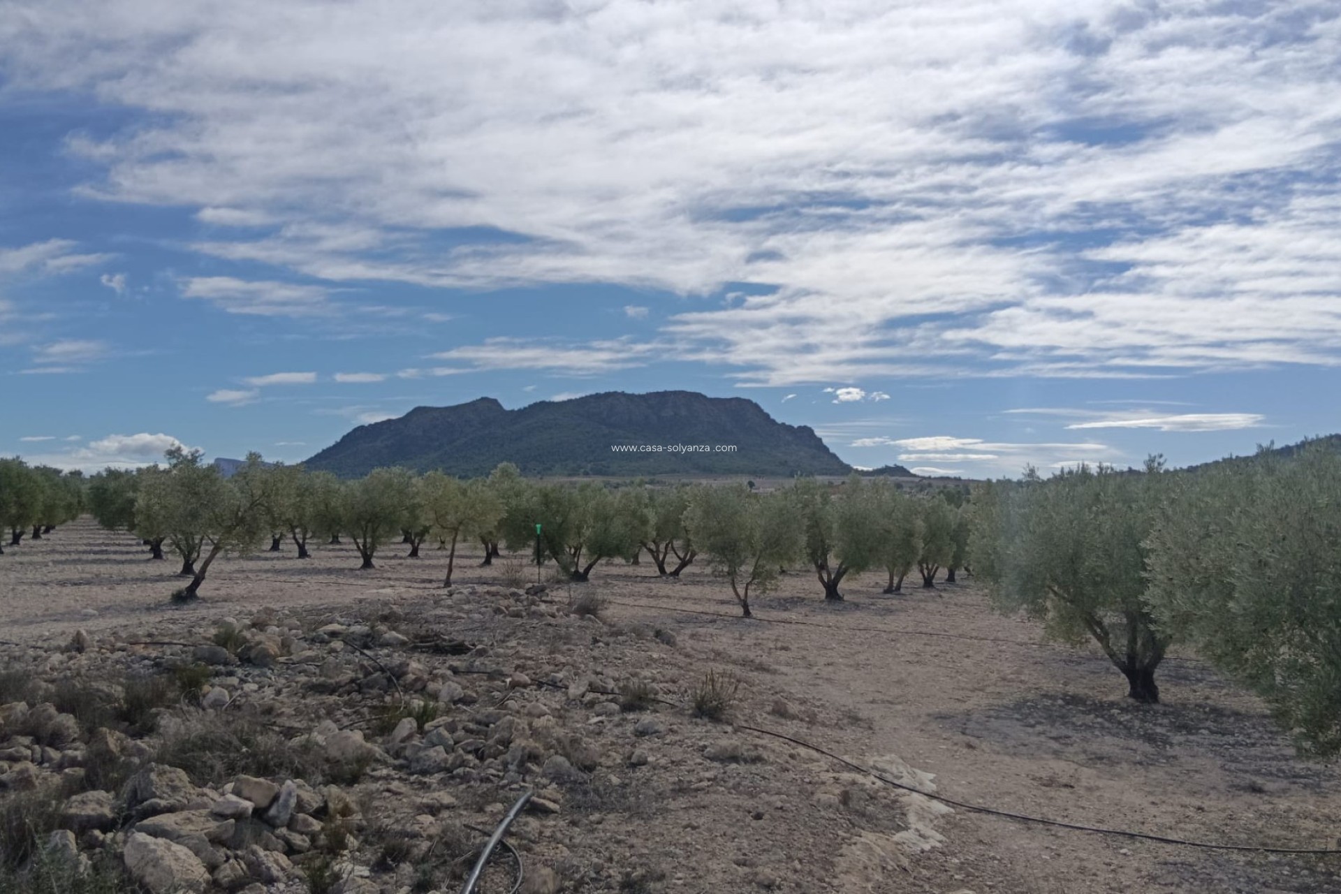 Resale - Land - Salinas - Inland