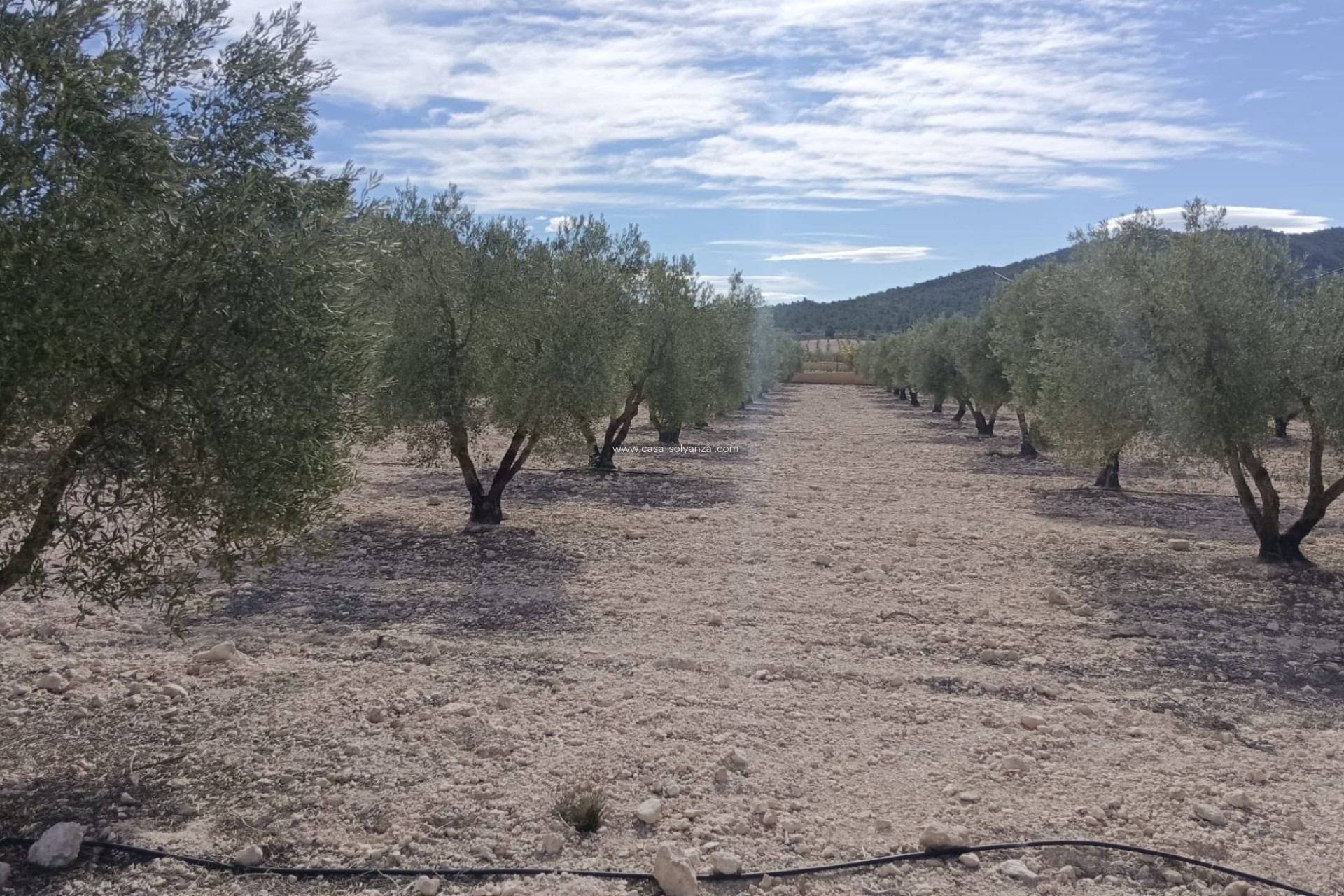 Resale - Land - Salinas - Inland