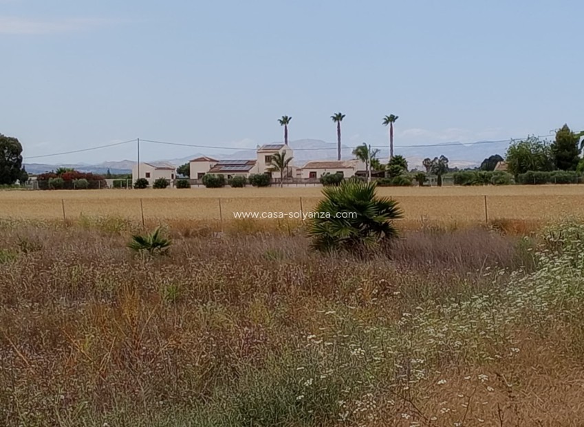 Resale - Land - San Fulgencio