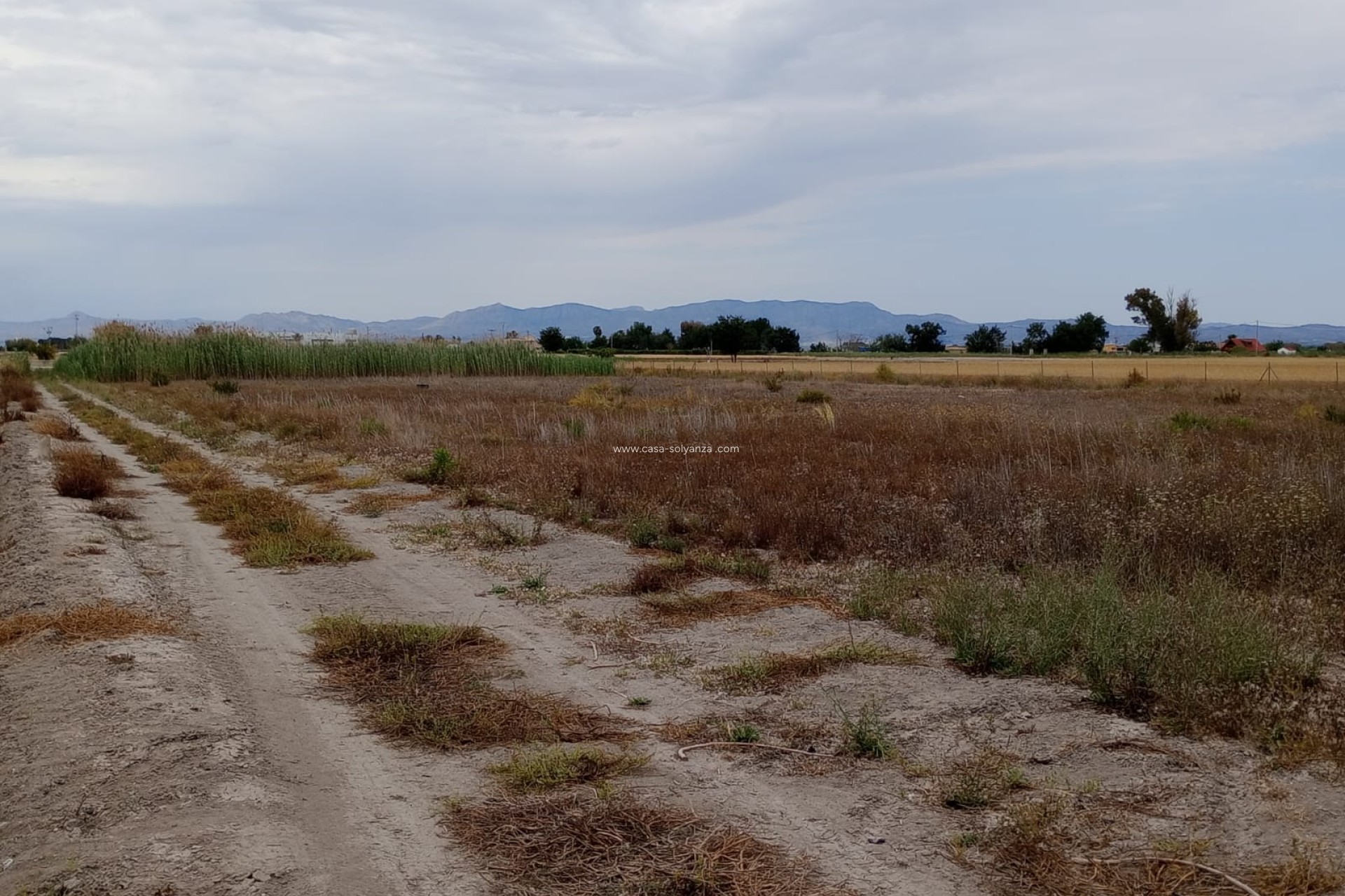 Resale - Land - San Fulgencio