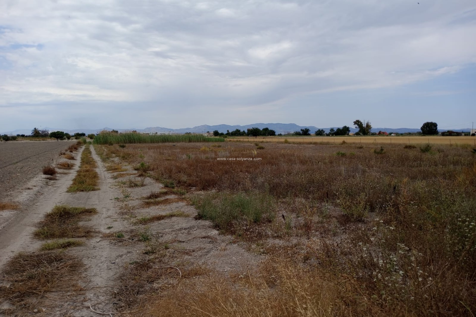 Resale - Land - San Fulgencio