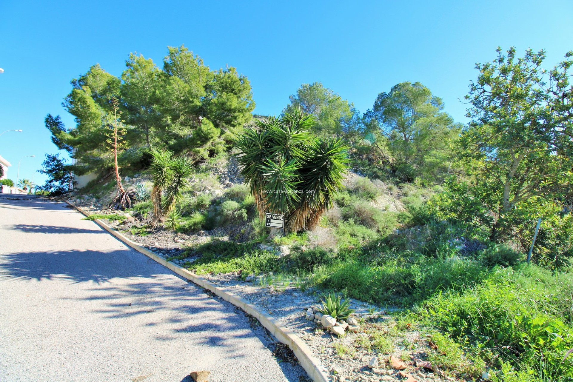 Resale - Land - San Miguel de Salinas