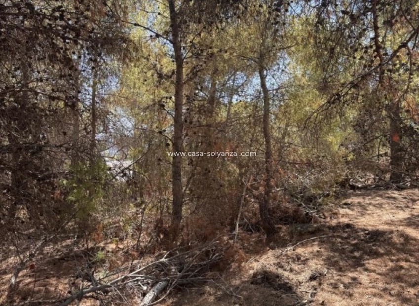 Resale - Land - Sierra Cortina - Inland