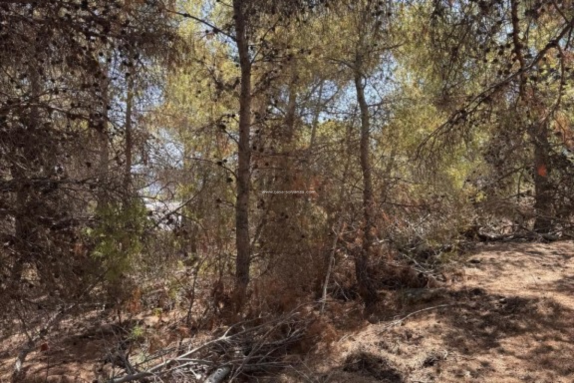 Resale - Land - Sierra Cortina - Inland