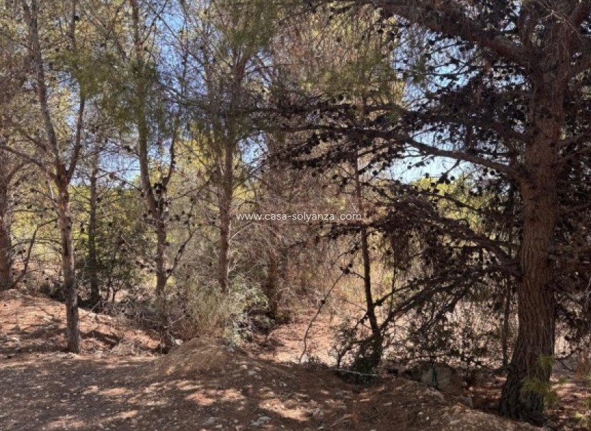 Resale - Land - Sierra Cortina - Inland