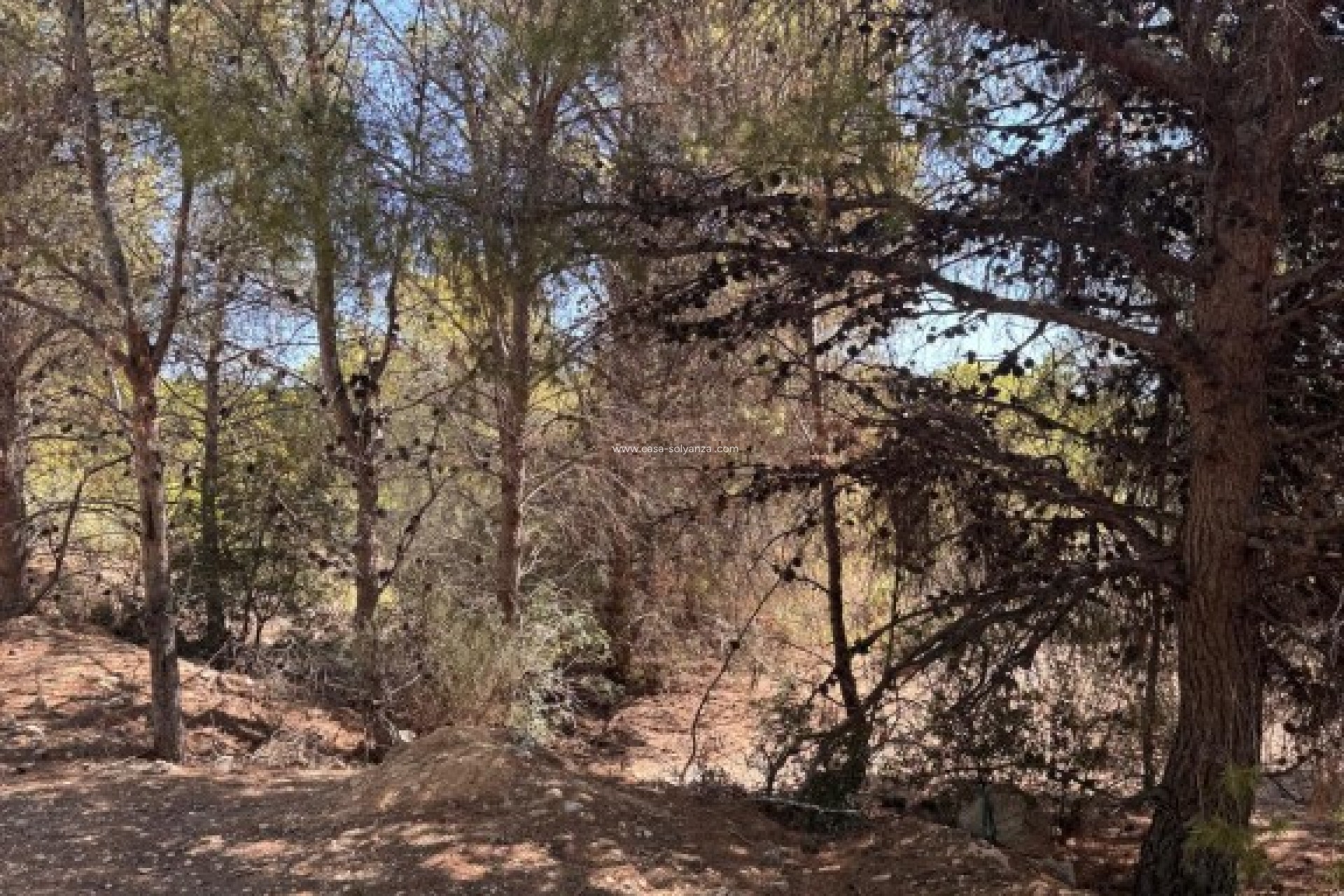 Resale - Land - Sierra Cortina - Inland