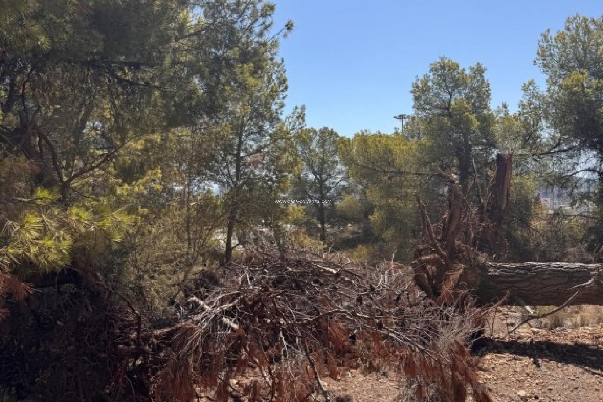 Resale - Land - Sierra Cortina - Inland