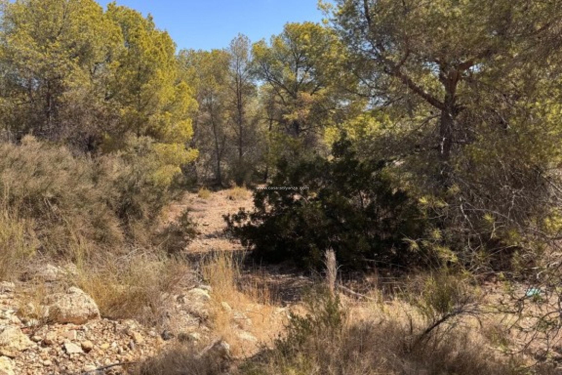 Resale - Land - Sierra Cortina - Inland