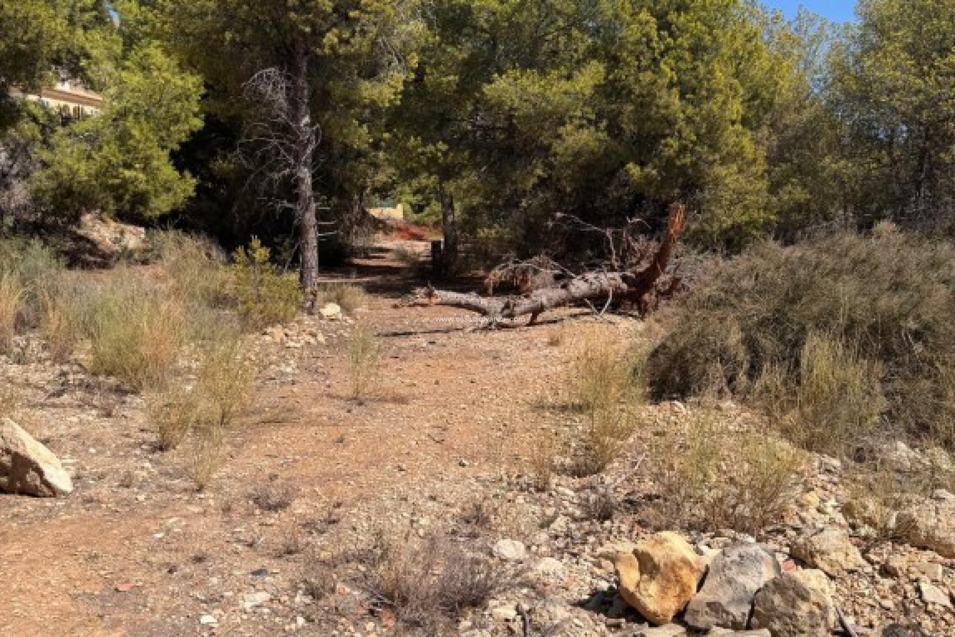 Resale - Land - Sierra Cortina - Inland