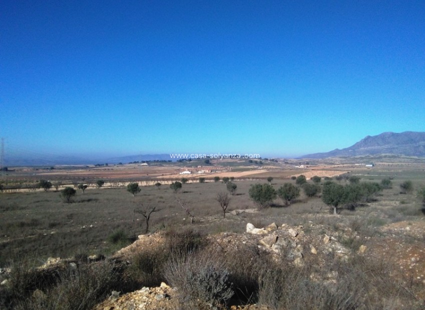 Resale - Land - Torre Del Rico - Inland