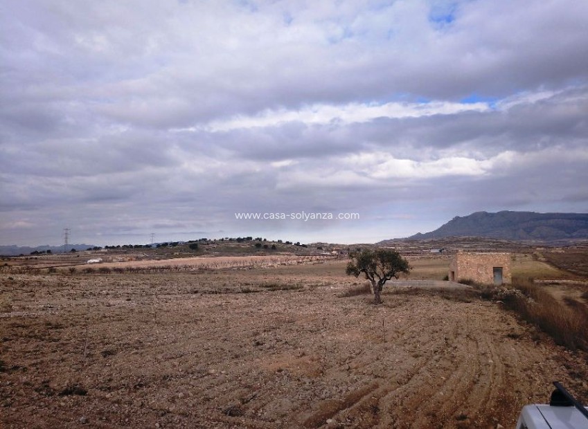 Resale - Land - Torre Del Rico - Inland
