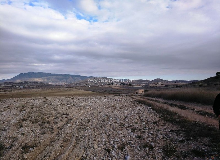 Resale - Land - Torre Del Rico - Inland
