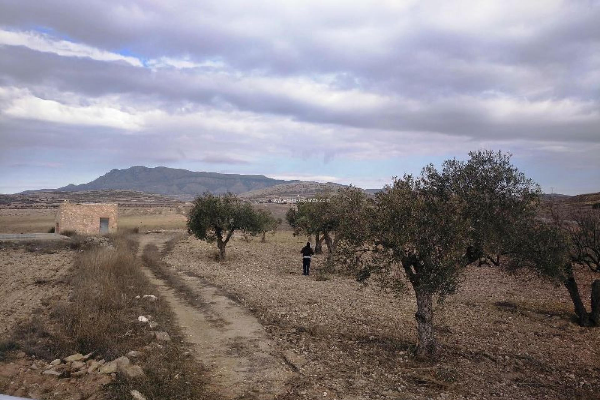 Resale - Land - Torre Del Rico - Inland