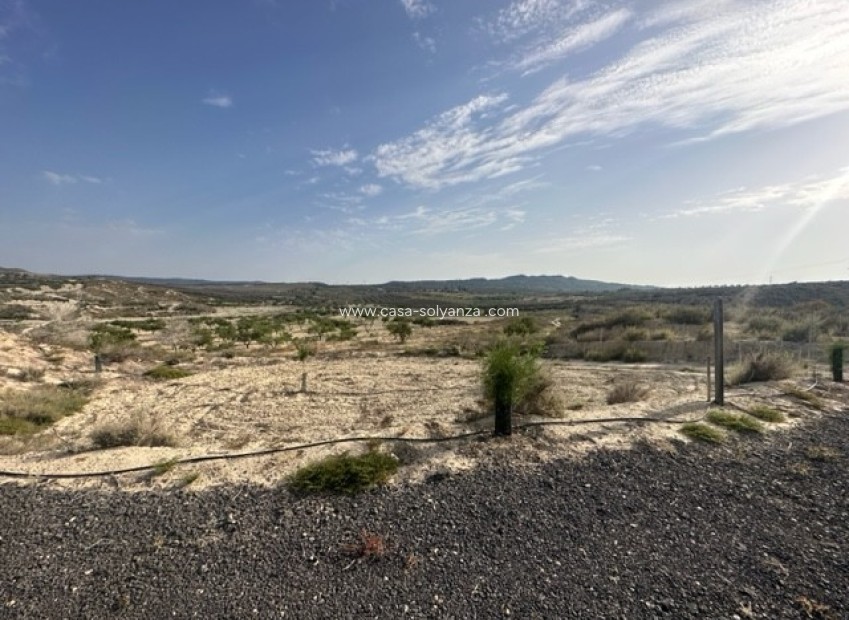 Resale - Land - Torremendo - Costa Blanca