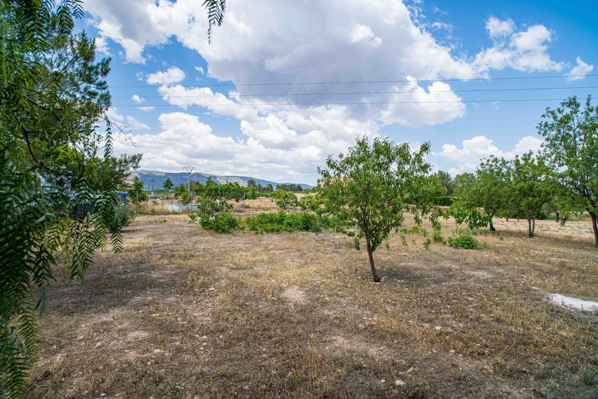 Resale - Land - Ubeda