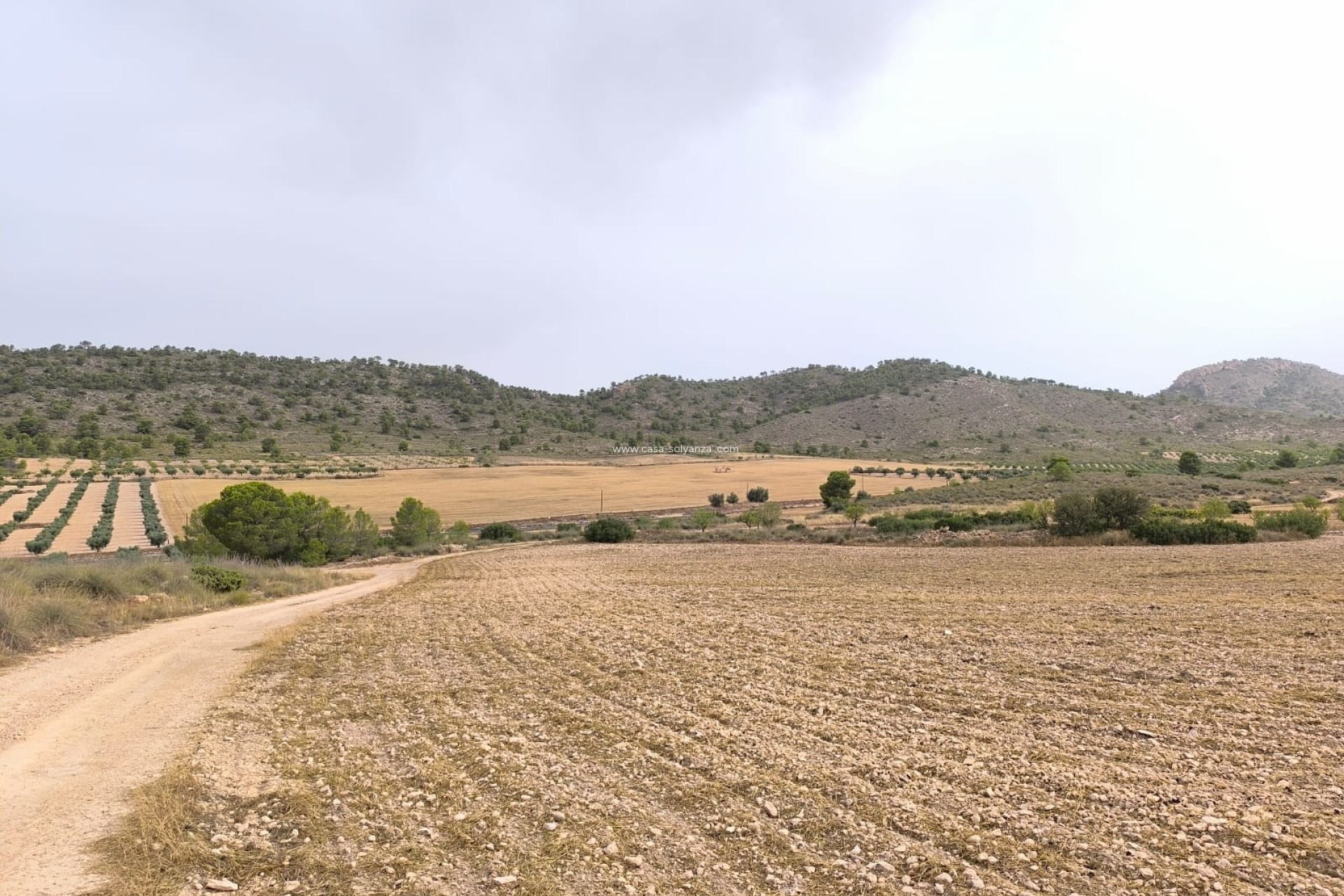 Resale - Land - Yecla - Inland