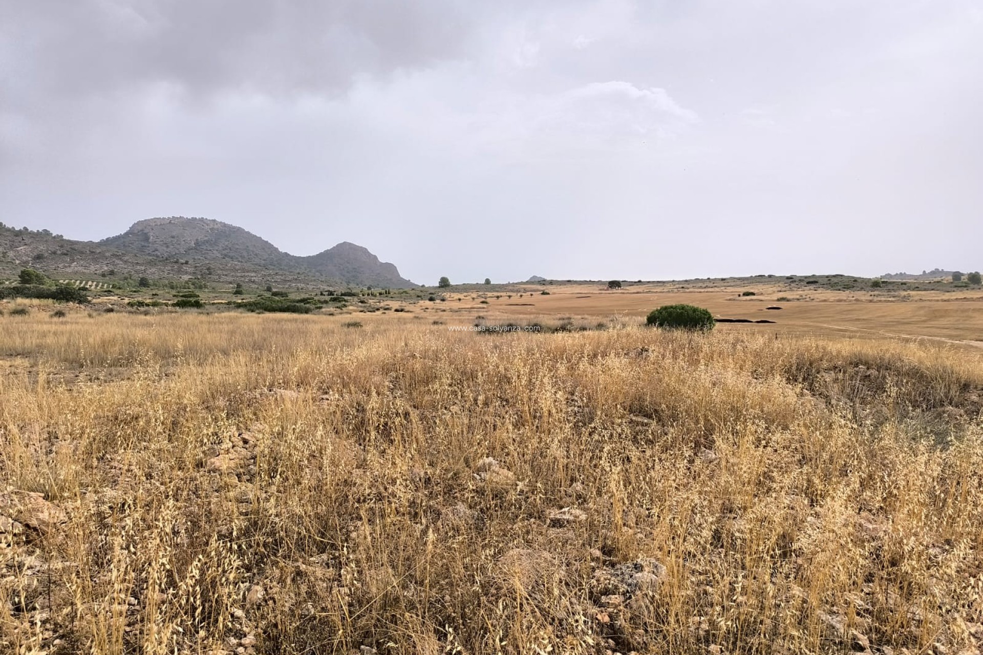 Resale - Land - Yecla - Inland