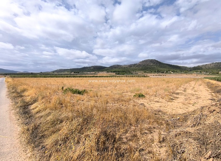 Resale - Land - Yecla - Inland