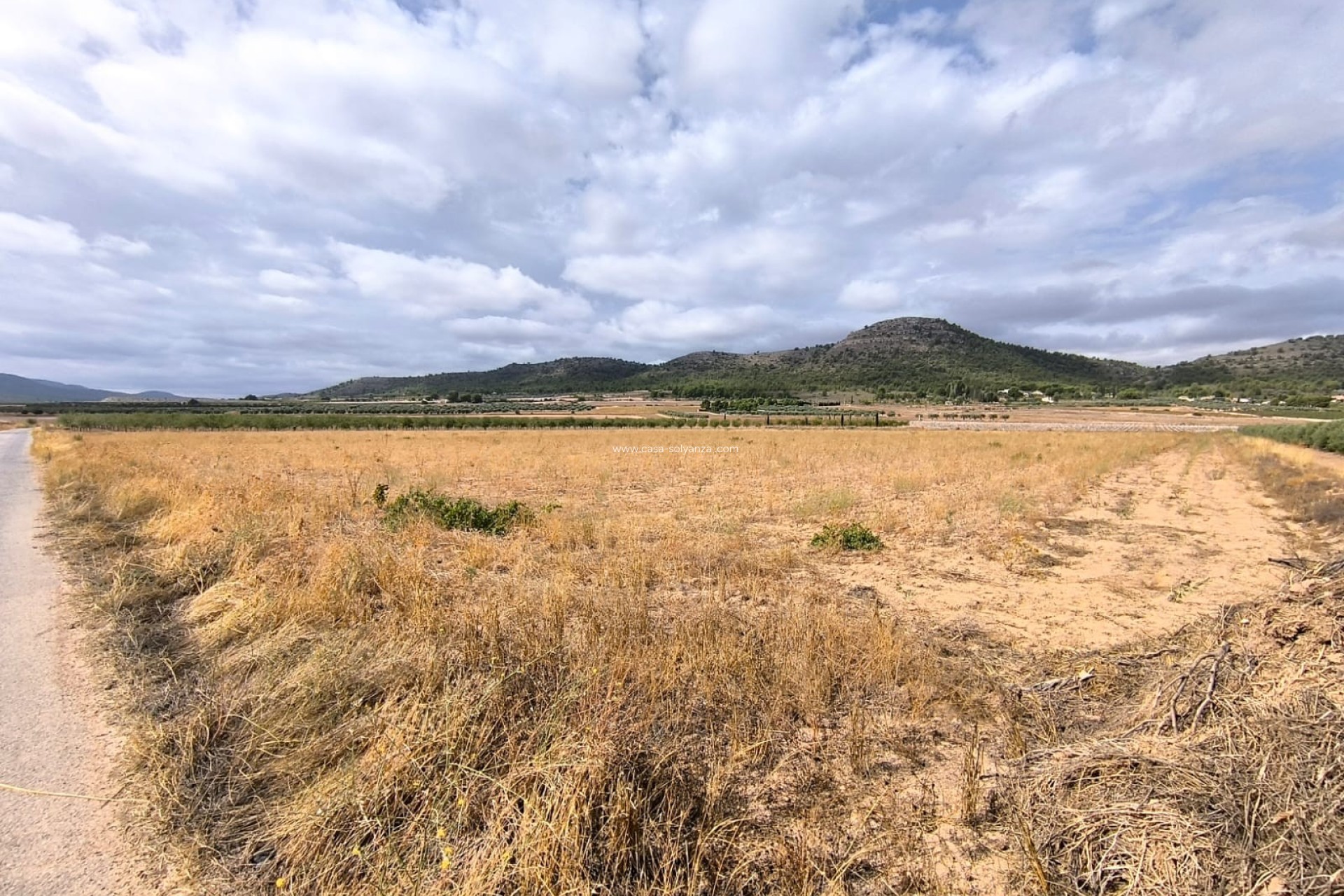 Resale - Land - Yecla - Inland