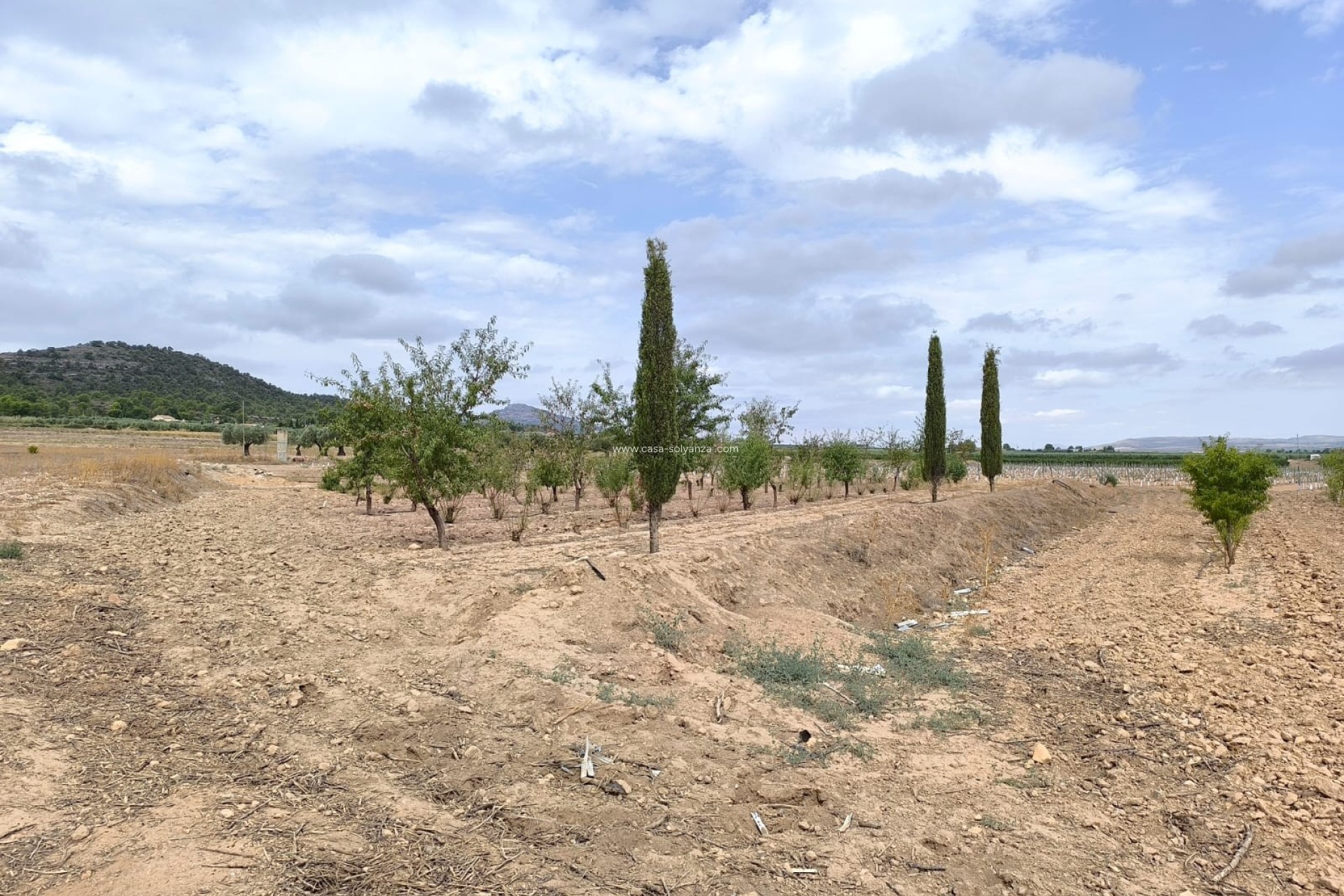 Resale - Land - Yecla - Inland