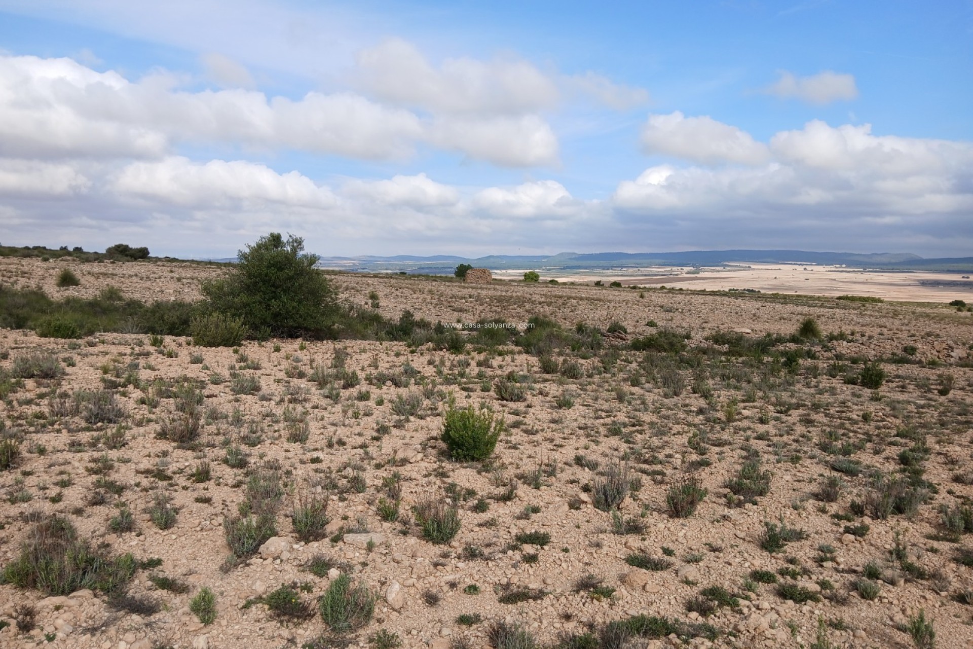 Resale - Land - Yecla - Inland