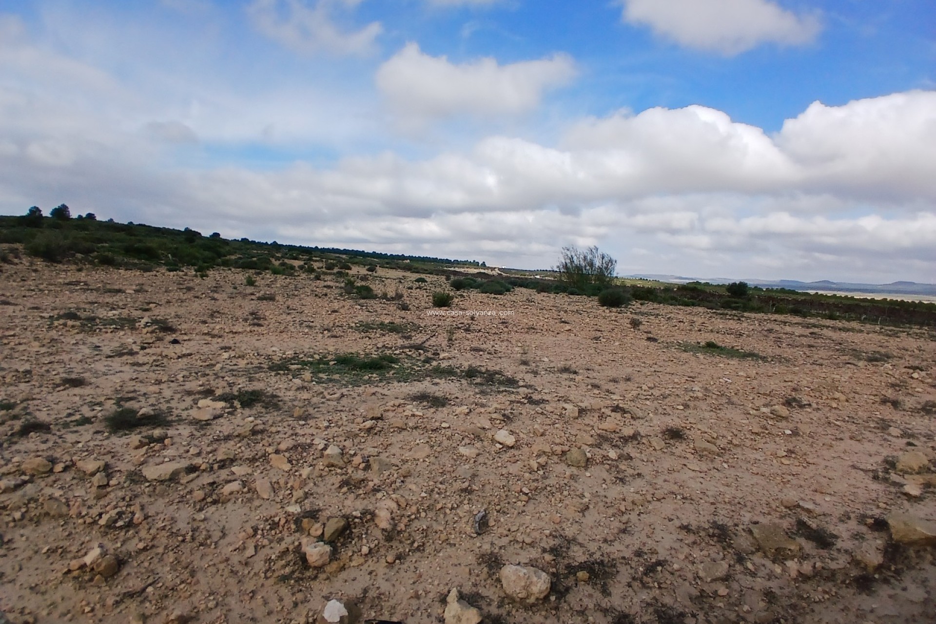 Resale - Land - Yecla - Inland