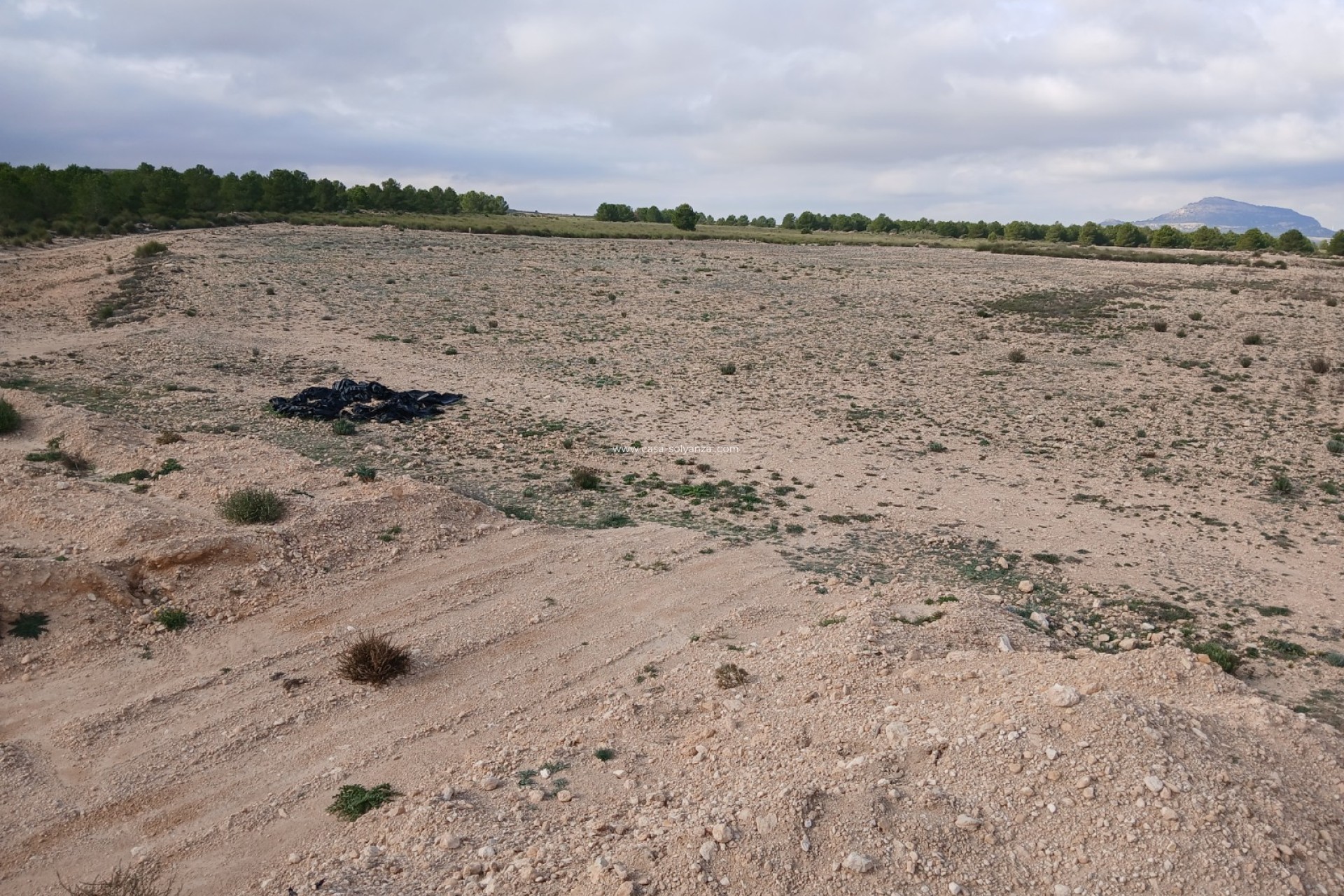 Resale - Land - Yecla - Inland