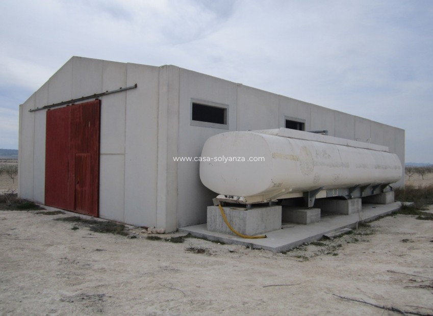 Resale - Land - Yecla - Inland