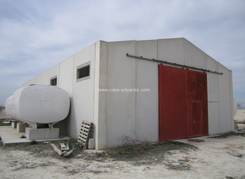 Resale - Land - Yecla - Inland