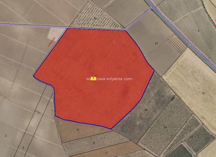 Resale - Land - Yecla - Inland