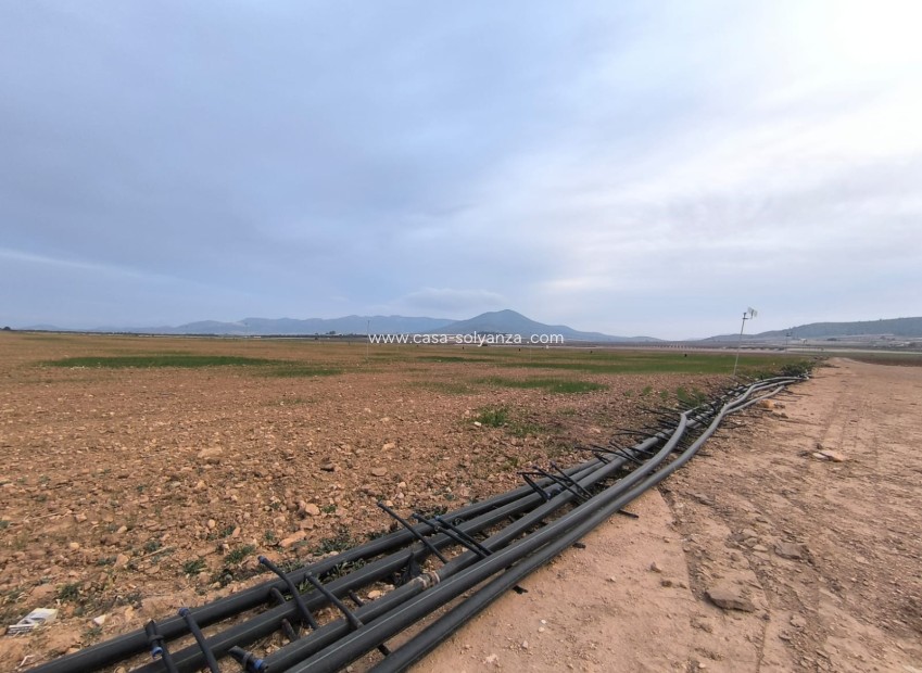 Resale - Land - Yecla - Inland