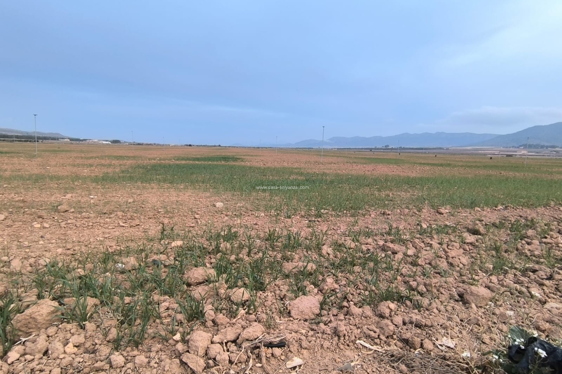 Resale - Land - Yecla - Inland