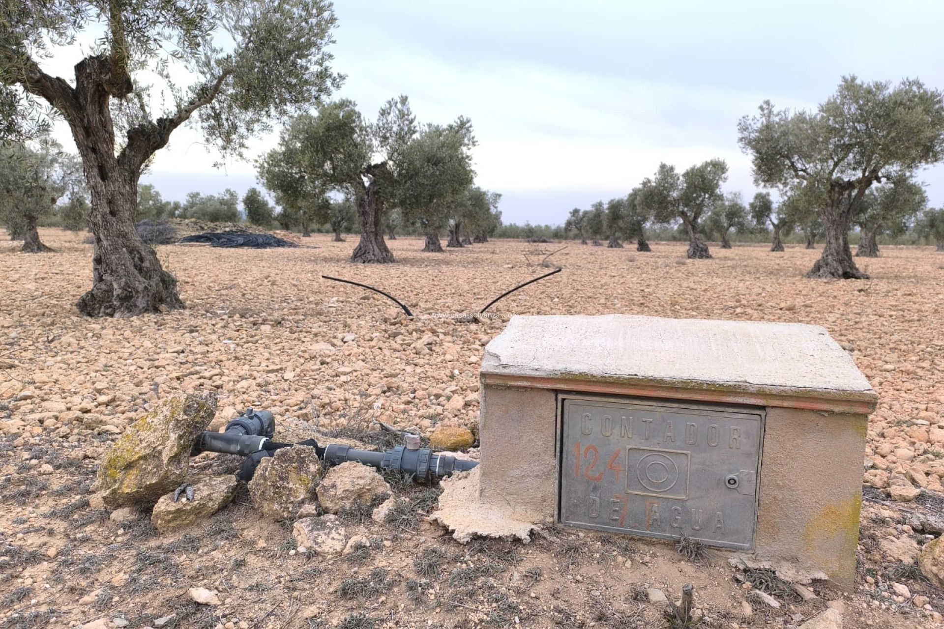 Resale - Land - Yecla - Inland