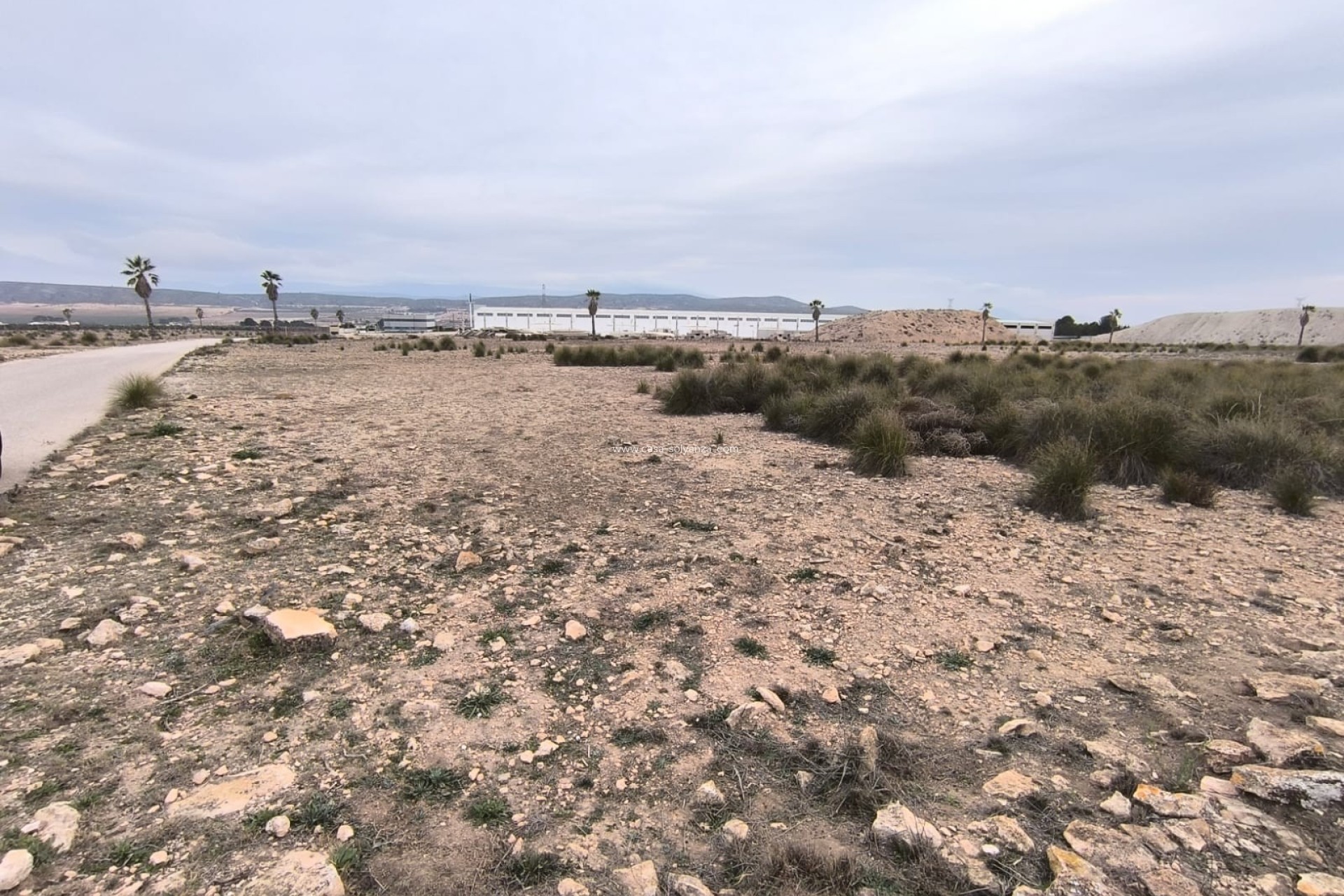 Resale - Land - Yecla - Inland