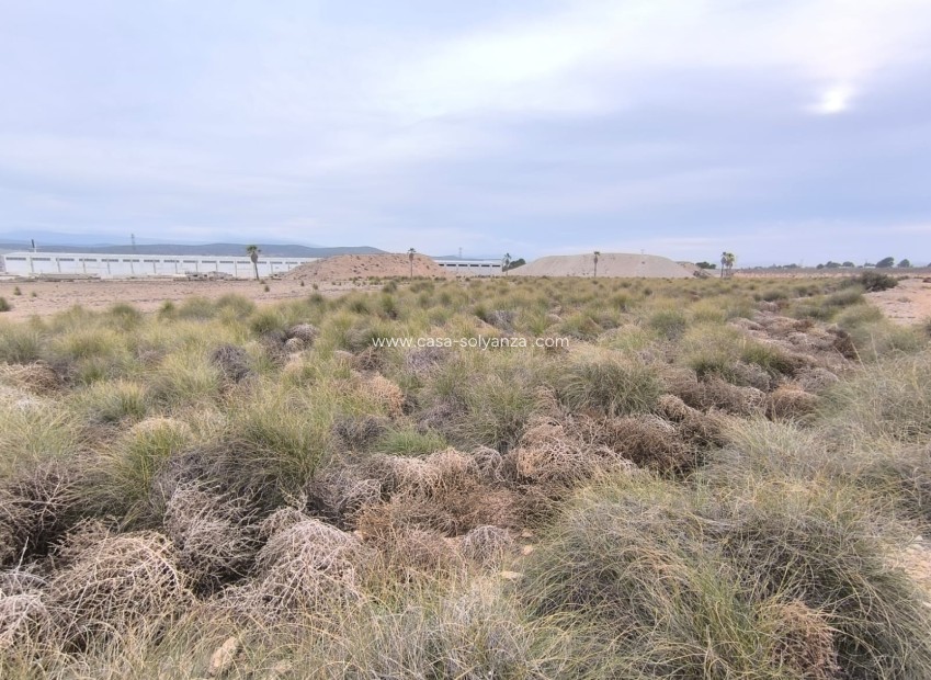 Resale - Land - Yecla - Inland