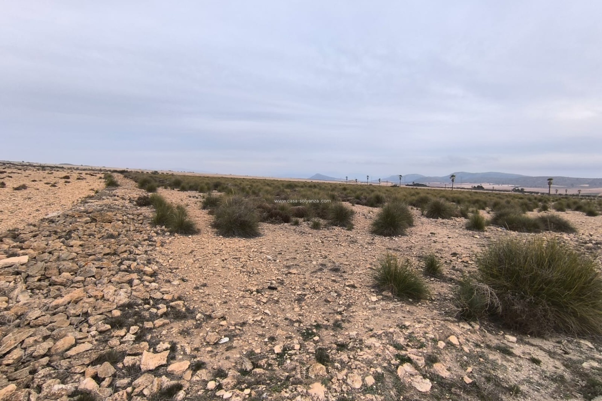 Resale - Land - Yecla - Inland