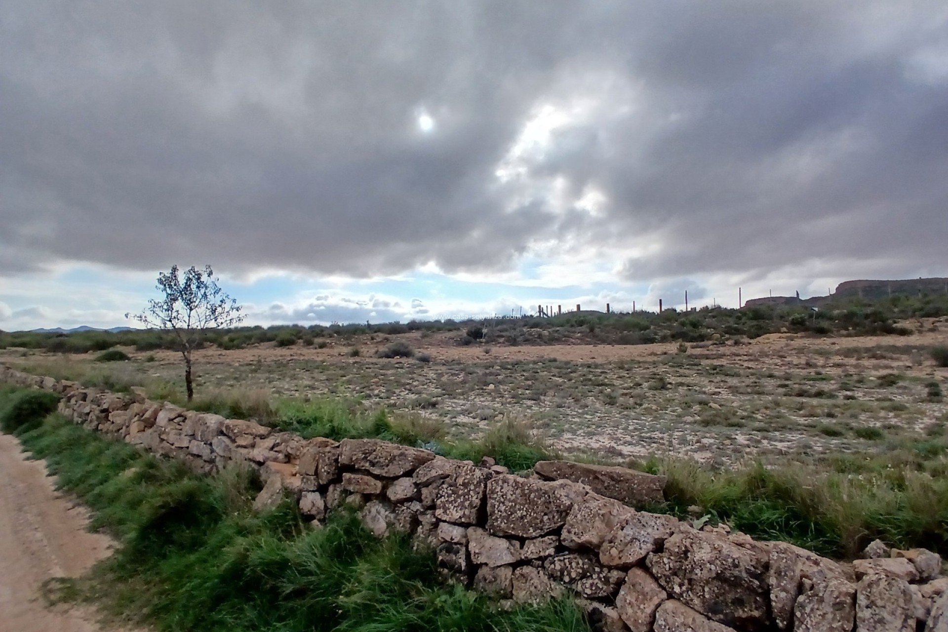 Resale - Land - Yecla - Inland