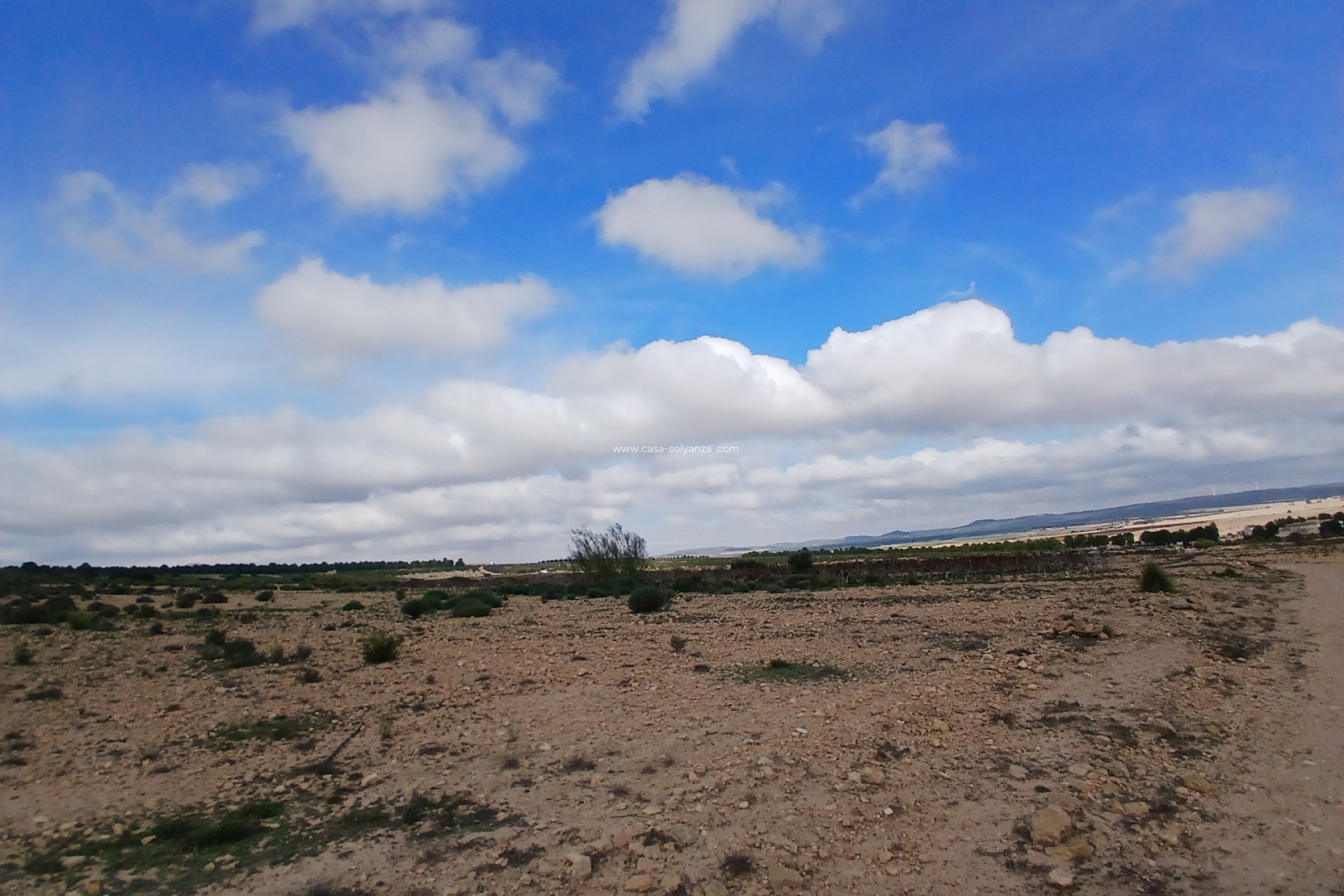 Resale - Land - Yecla - Inland