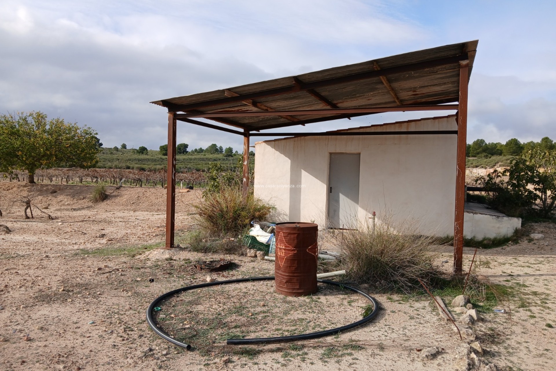 Resale - Land - Yecla - Inland