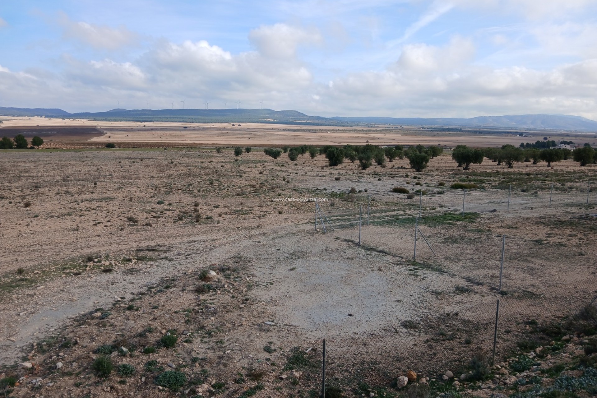 Resale - Land - Yecla - Inland