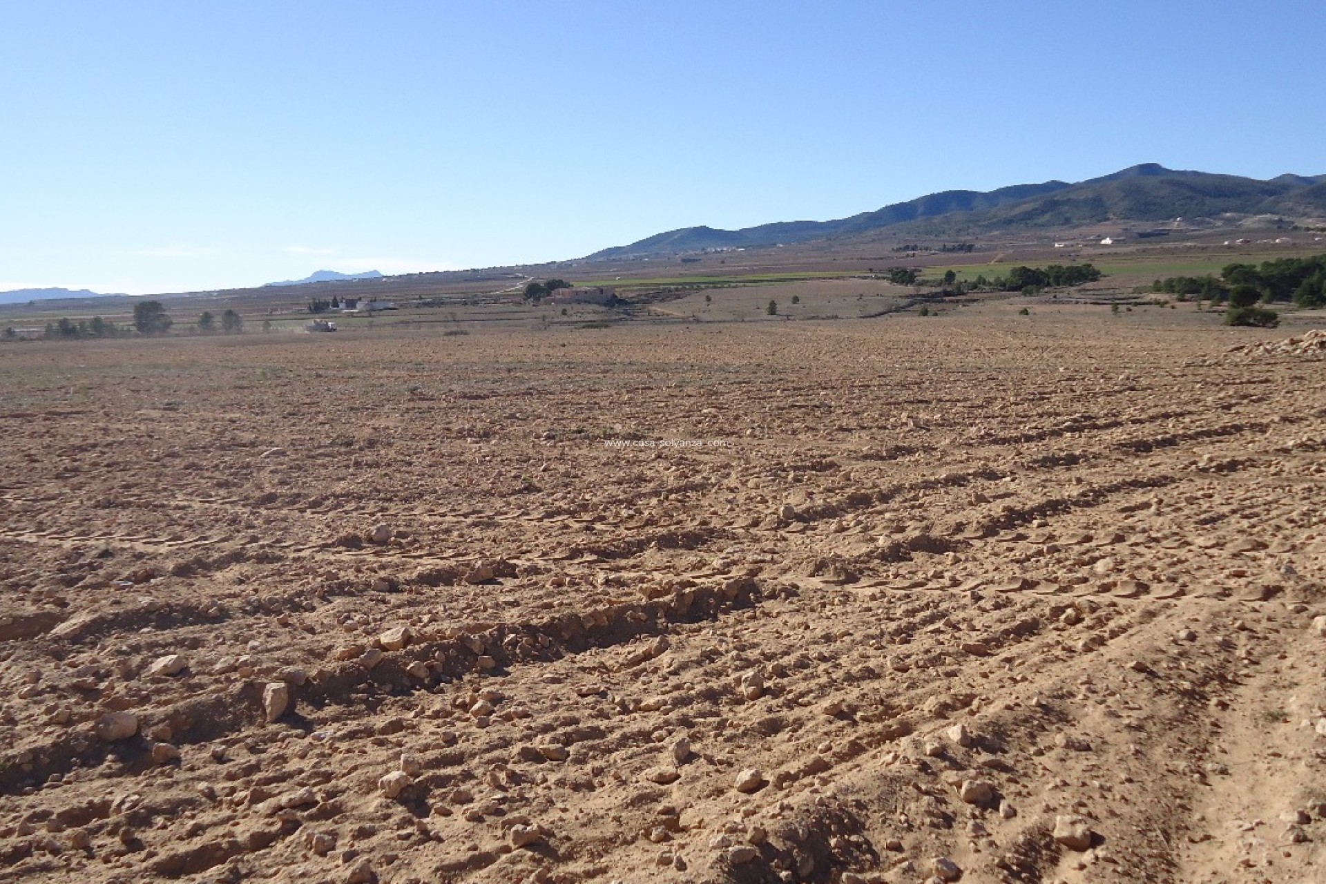 Resale - Land - Yecla - Inland