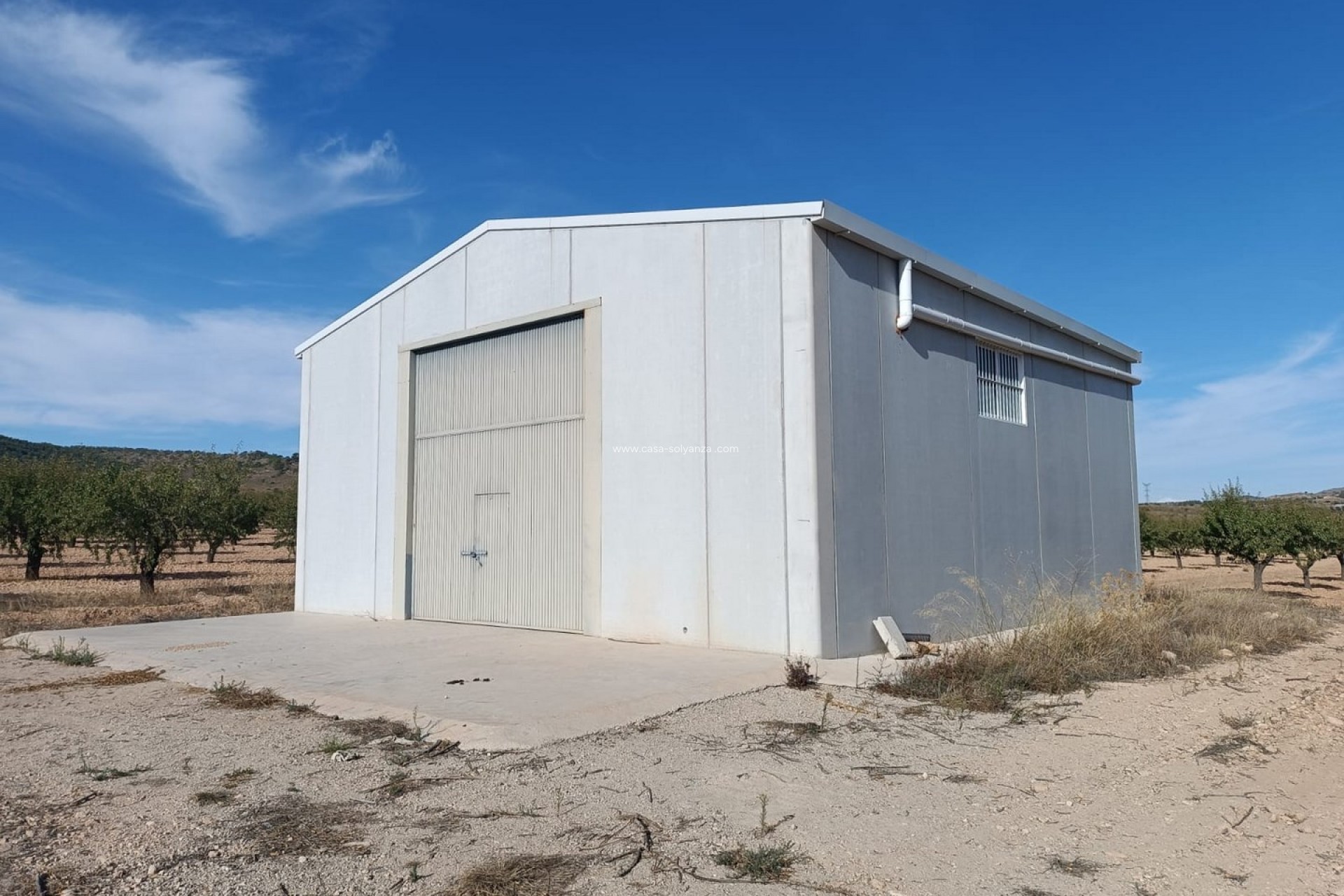 Resale - Land - Yecla - Inland