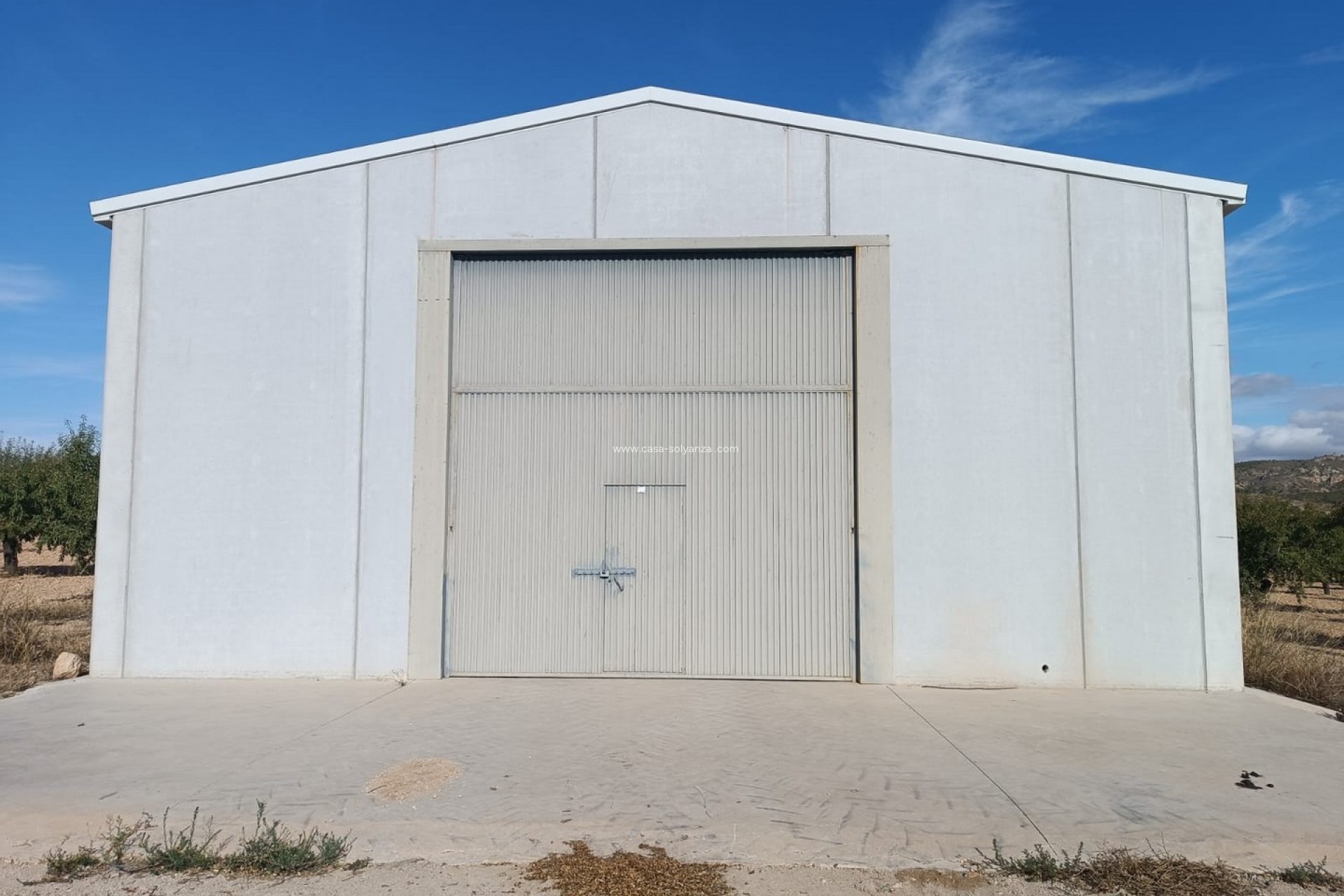 Resale - Land - Yecla - Inland