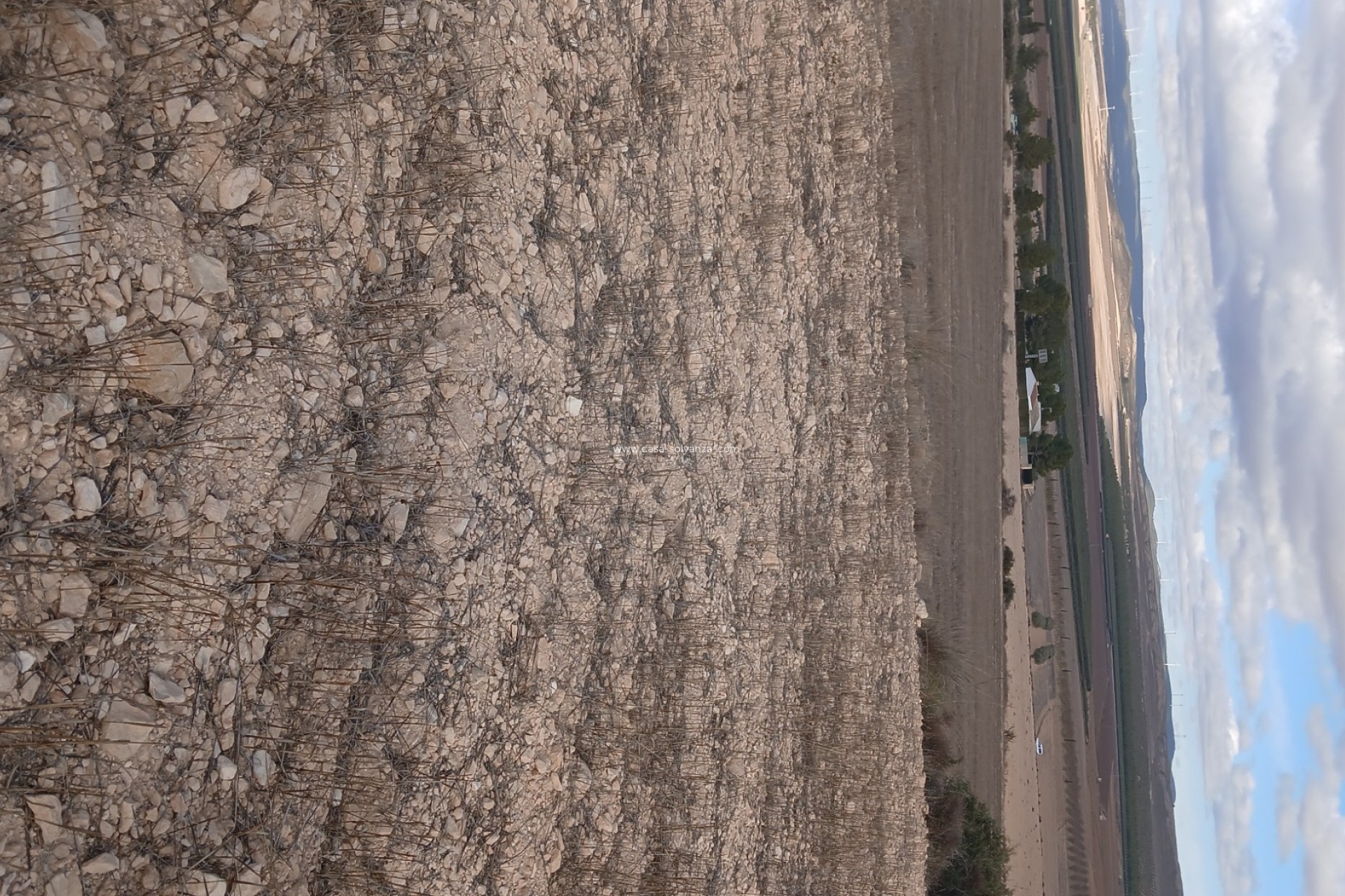 Resale - Land - Yecla - Inland